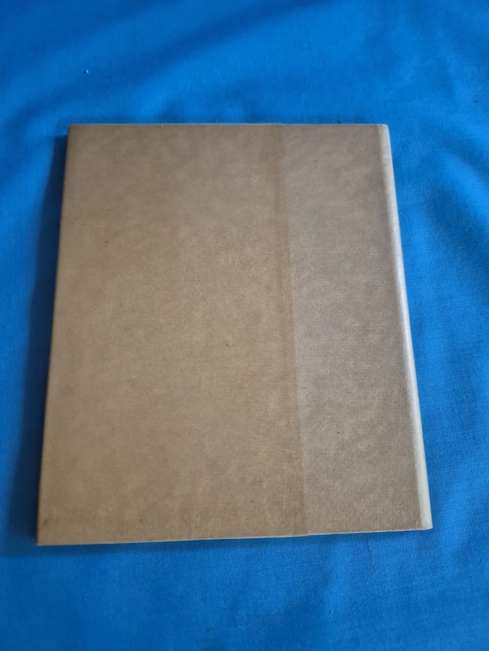 Mizapah Antique Booklet 1897 Printed in Bavaria Ernest Nister C P Dutton Wrapper